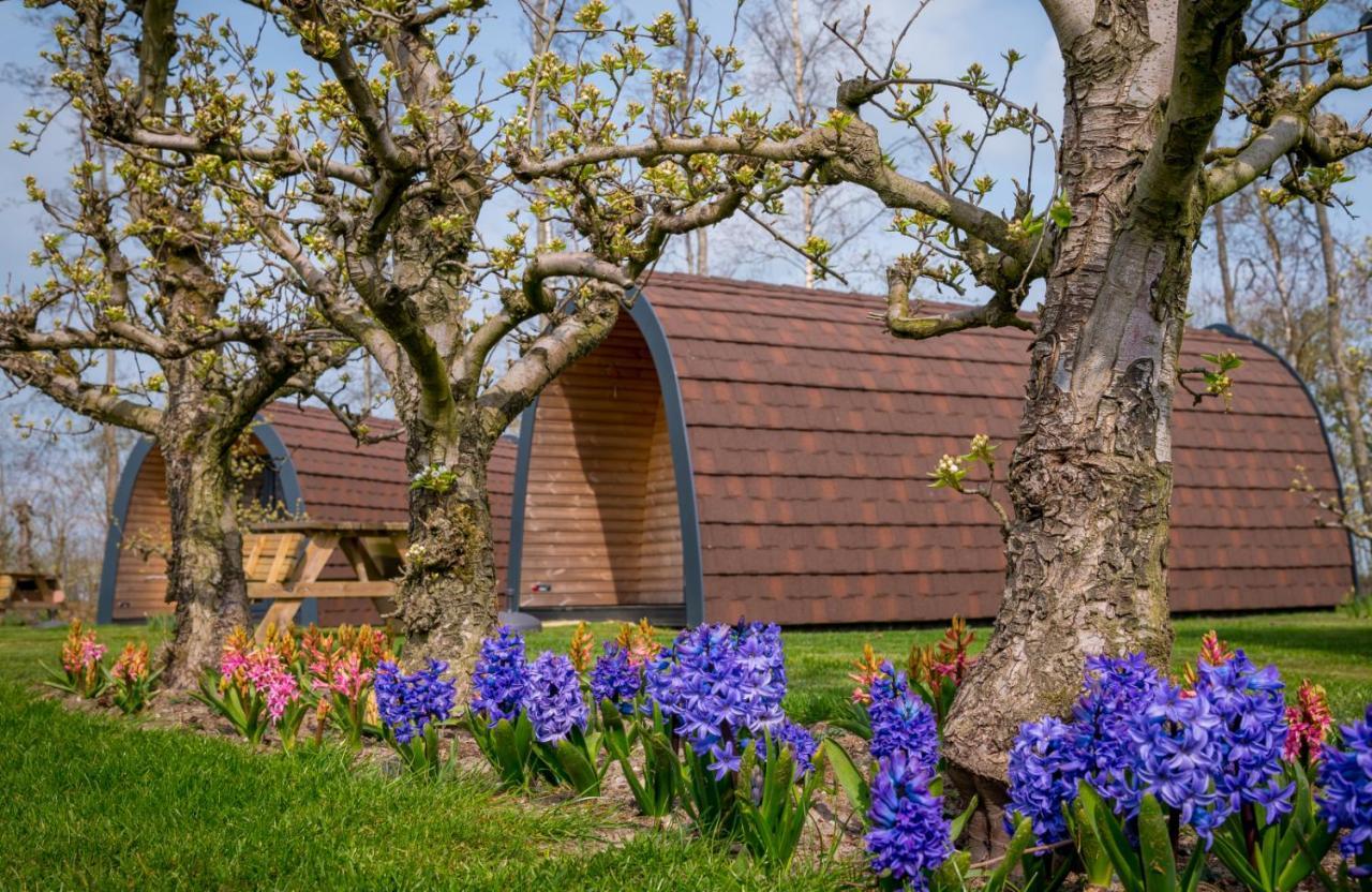 Familie Resort Molenwaard Ottoland Exterior foto